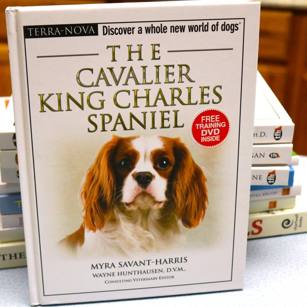 The Cavalier King Charles Spaniel Book & DVD Training Guide - NEW
